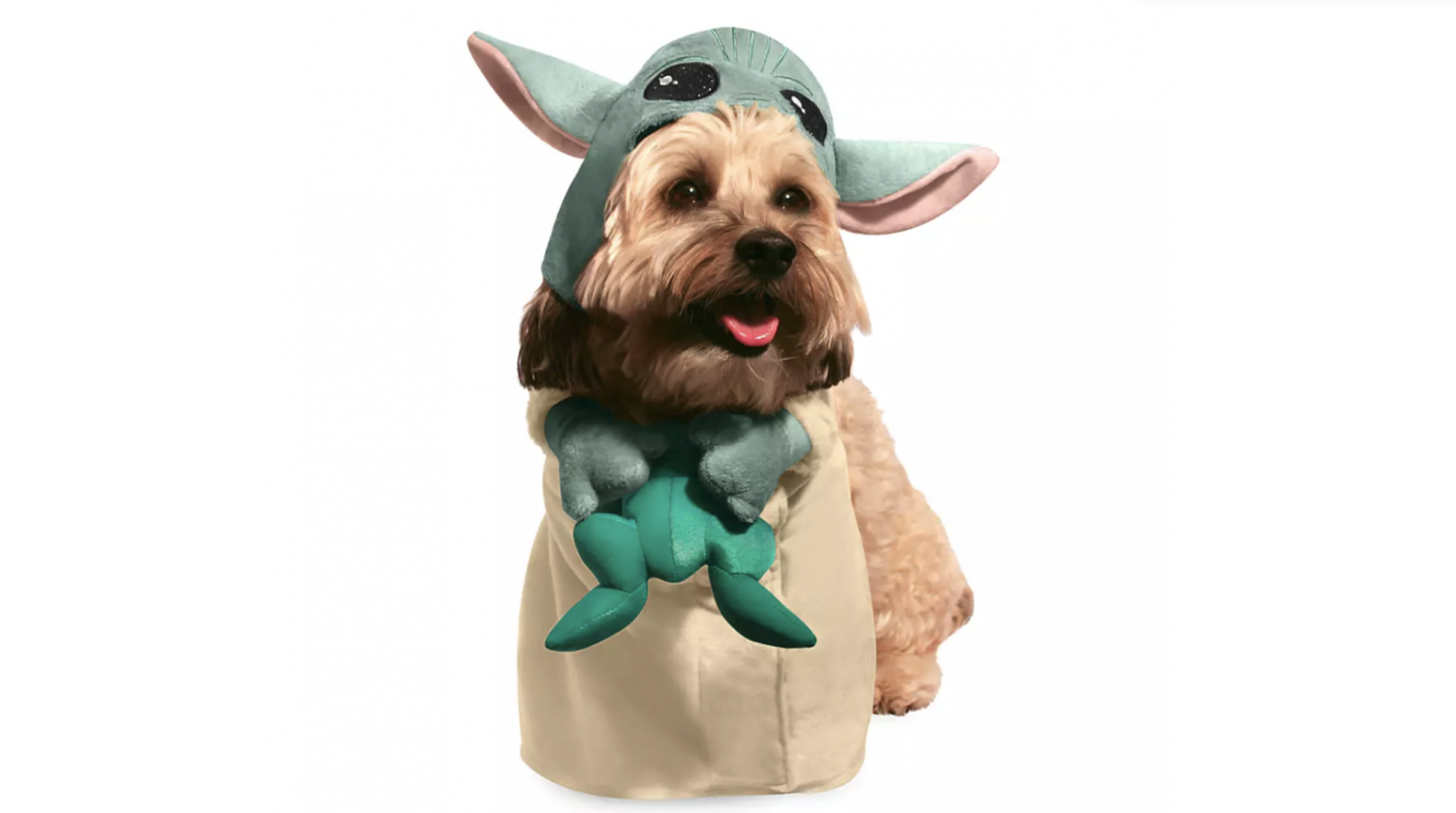 Your Furry Friend Can Dress Up as Baby Yoda (and Much More) for Halloween!  - AllEars.Net
