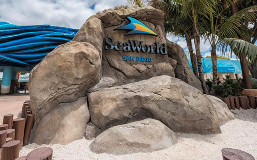 NEWS: SeaWorld No Longer Requiring Park Reservations - AllEars.Net