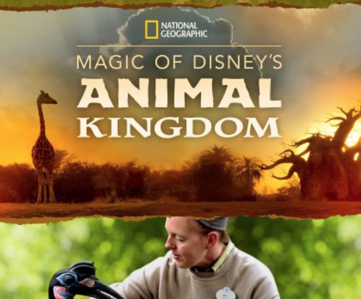 can i go from disney animal kingdom to magic kingdom without moving car can i go from disney animal kingdom to magic kingdom without moving car