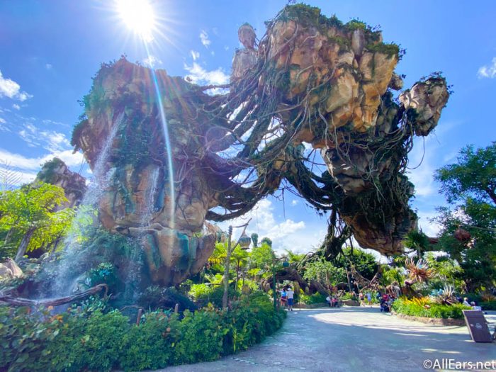 PHOTOS: Here's What Disney's Animal Kingdom Was Like Today! PHOTOS: Here's What Disney's Animal Kingdom Was Like Today!