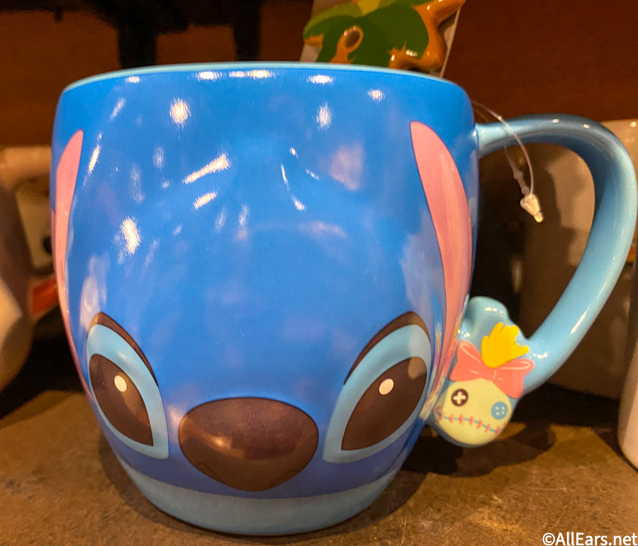 PHOTOS: Don't Get These Souvenirs in Disney World Without Reading