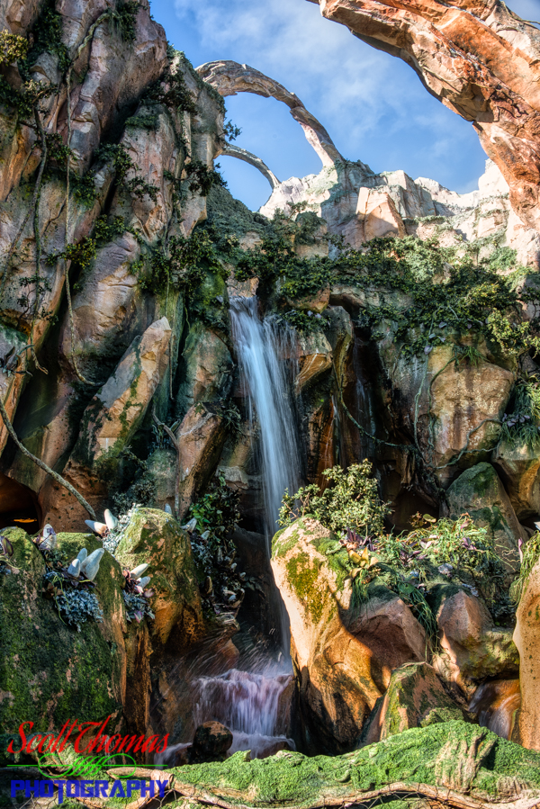 Pandora Waterfall in Disney's Animal Kingdom