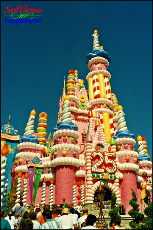 25th Anniversary Cinderella Castle