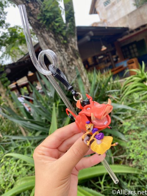 Reusable Lion King Straws Have Appeared in Disney's Animal Kingdom!