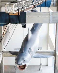 bruce academy museum instagram jaws shark 