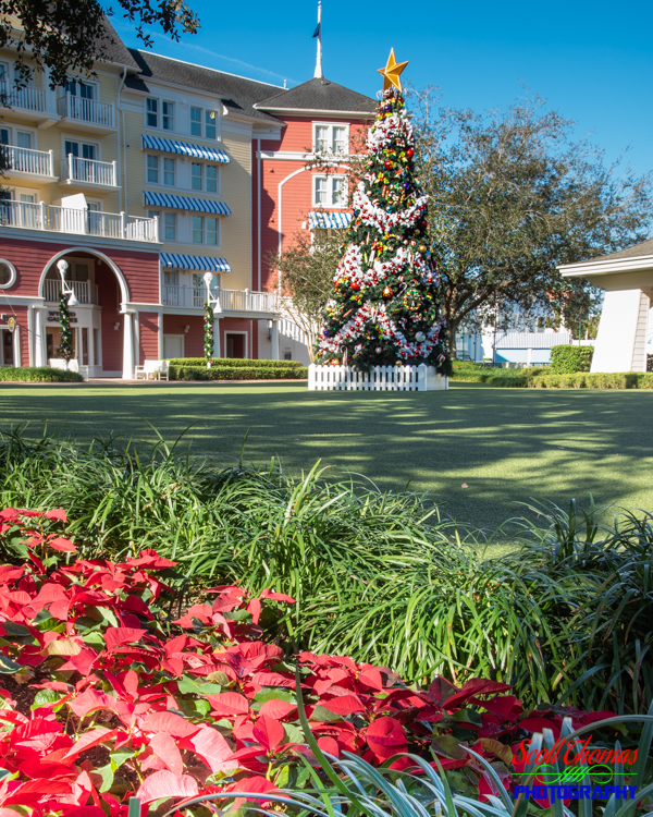 Boardwalk Resort Outdoor Christmas Tree