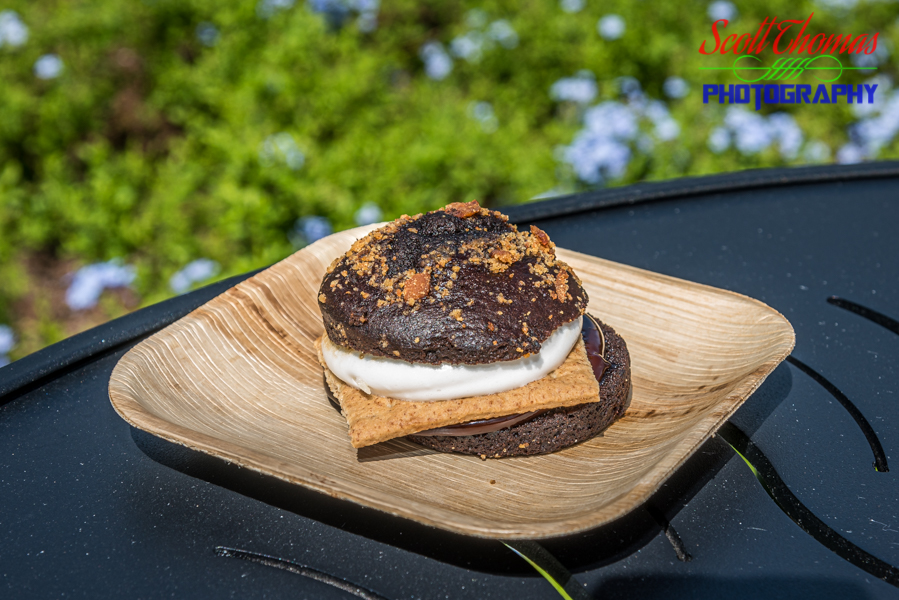 S’mores Whoopie Pie-lon