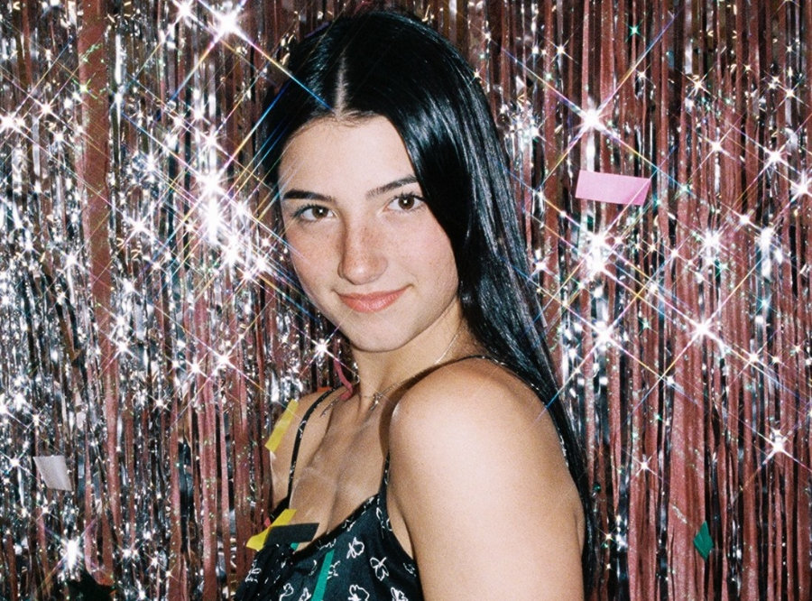 Tiktok Star Charli D Amelio Family Get Their Own Series On Hulu Allears Net Tiktok Star Charli D Amelio Family Get Their Own Series On Hulu Allears Net