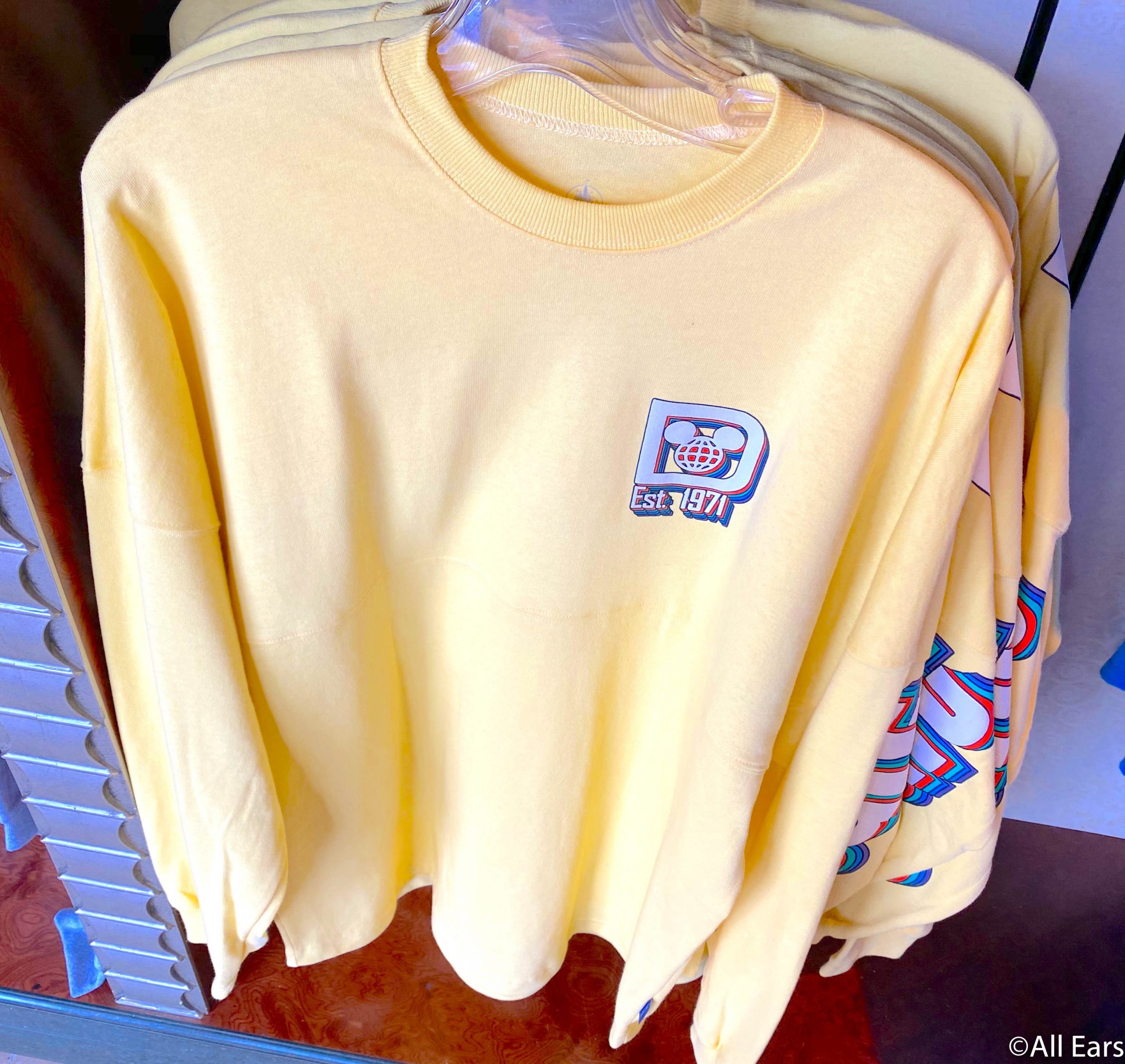 Check Out This NEW Retro Spirit Jersey in Disney World