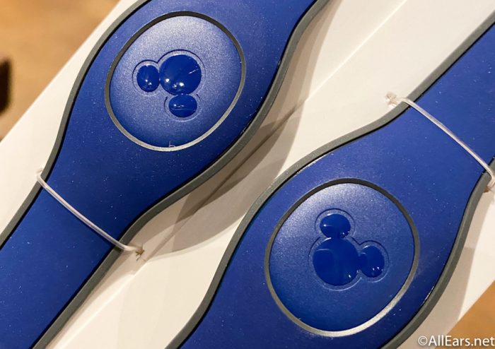 2021 Disney Parks Chip & Dale Rescue Rangers Navy Magic Band 2 MagicBand 2021 Disney Parks Chip & Dale Rescue Rangers Navy Magic Band 2 MagicBand