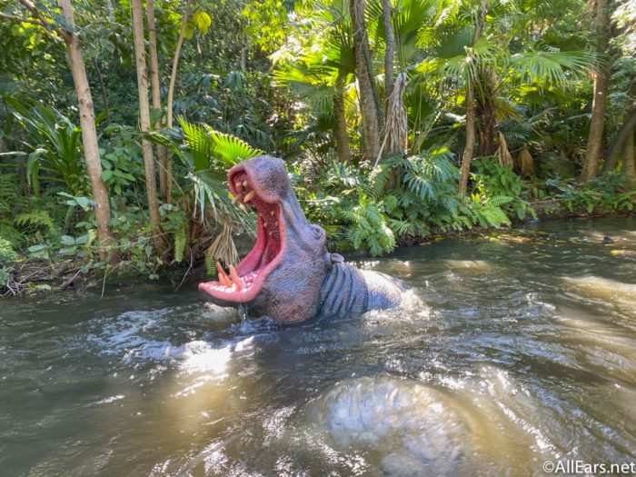 is disney jungle cruise on a track