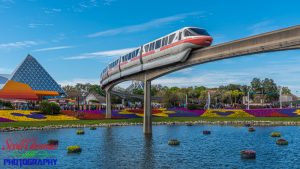 Epcot Monorail Fav