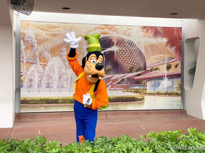 Disney World Secrets From Characters to Bad Guests to Cast Member Codes -  Bloomberg