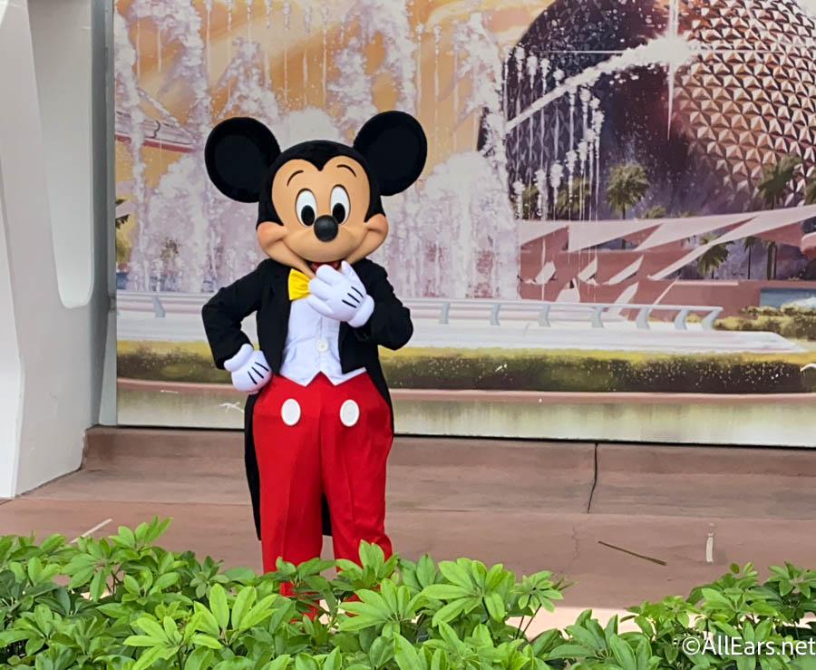 The Saga of The Late Disney Valentine's Day Plush Continues - AllEars.Net