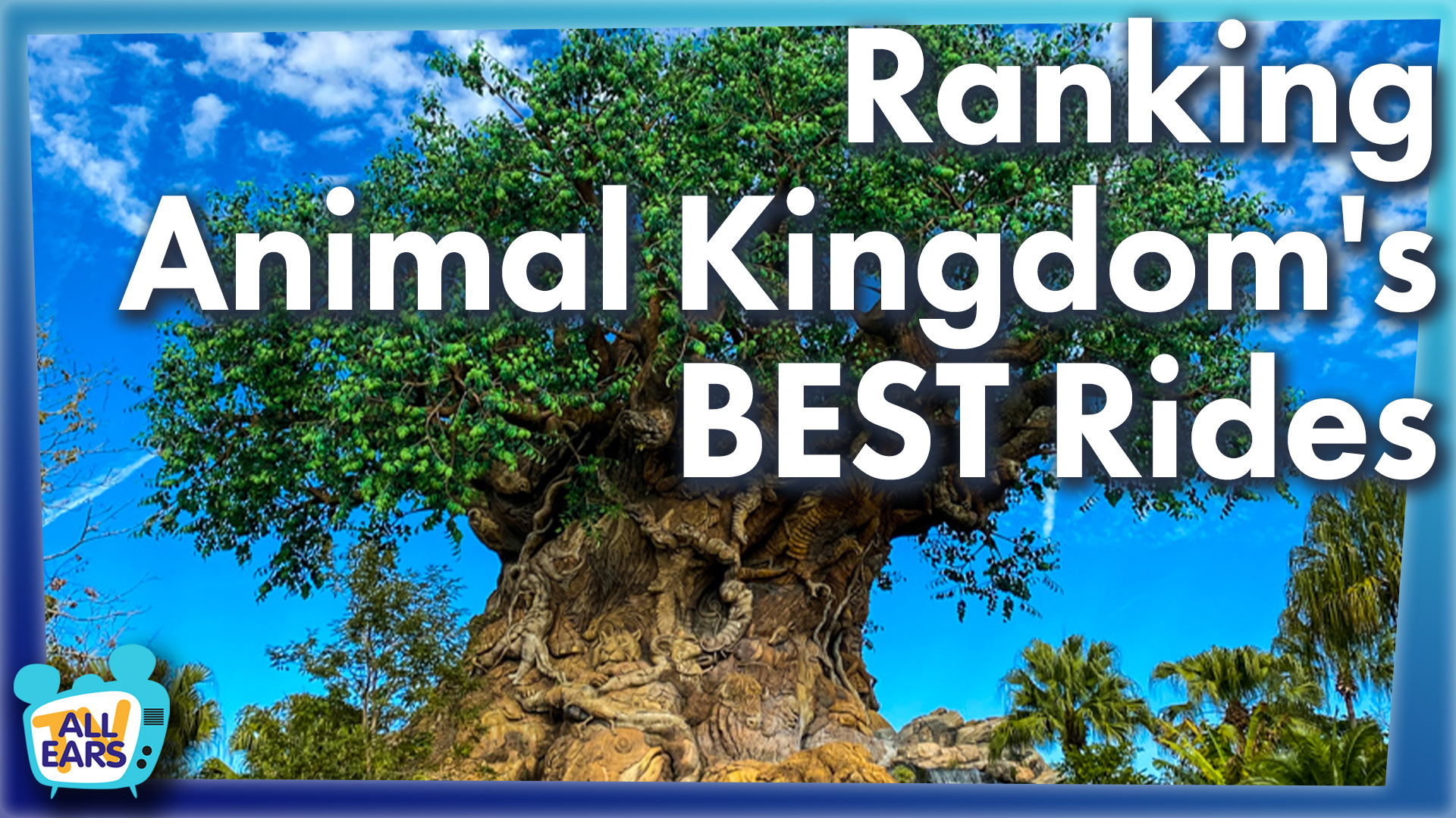 AllEars TV Ranking Animal Kingdom's BEST Rides
