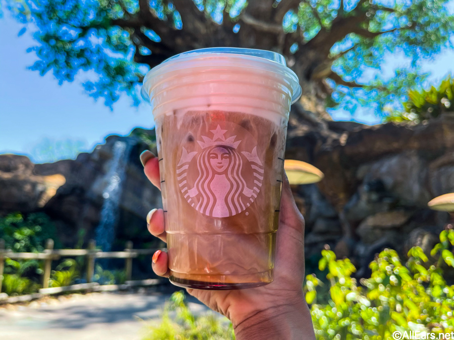 PHOTOS: Disney World Gets a NEW Parks-Inspired Starbucks Tumbler!