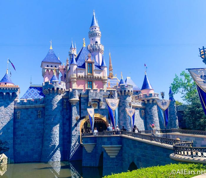 GARAGE SALE - Loungefly Disney - Sleeping Beauty Castle Series
