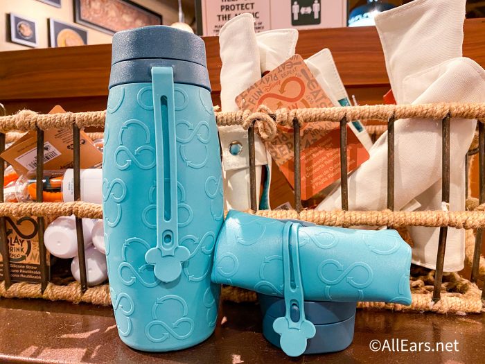 https://allears.net/wp-content/uploads/2021/04/2021-WDW-animal-kingdom-discovery-trading-company-reusable-water-bottle-1-700x525.jpg