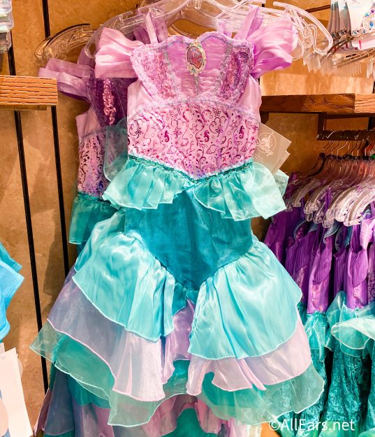 Why You SHOULDN'T Buy Disney's NEW Princess Dresses in the Parks! -  AllEars.Net