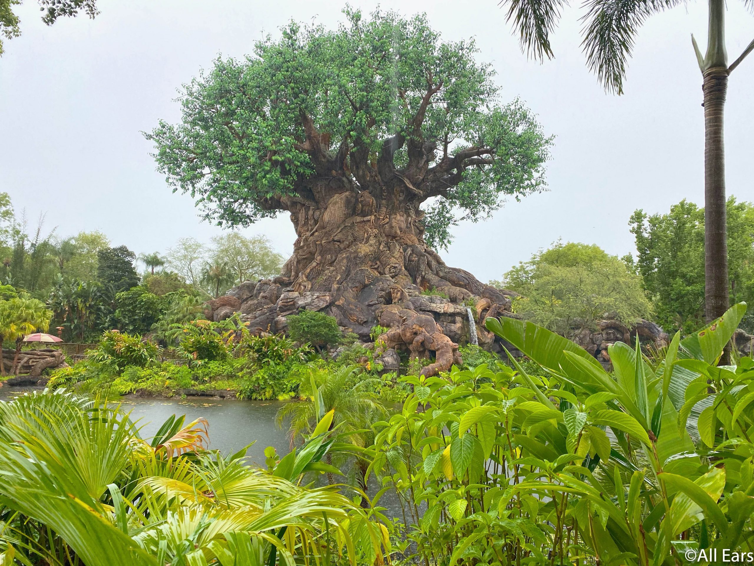 how long is the kilimanjaro safari at disney world