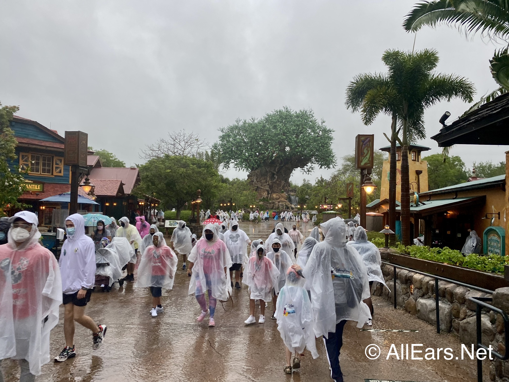 2021-wdw-animal-kingdom-crowds-leaving-rainy-day 2021-wdw-animal-kingdom-crowds-leaving-rainy-day