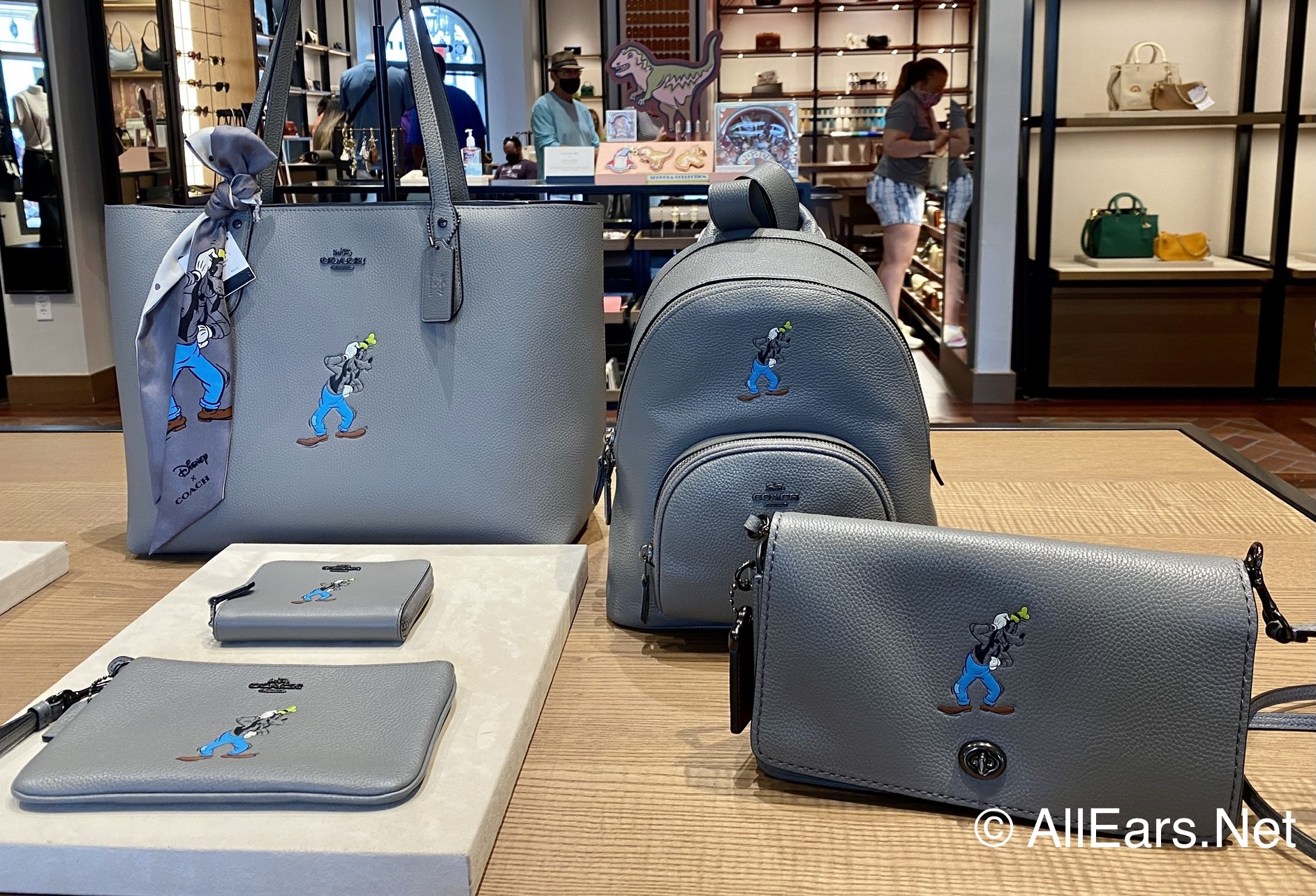 What's In The Disney x Coach Spring 2019 Collection? Your Favorite