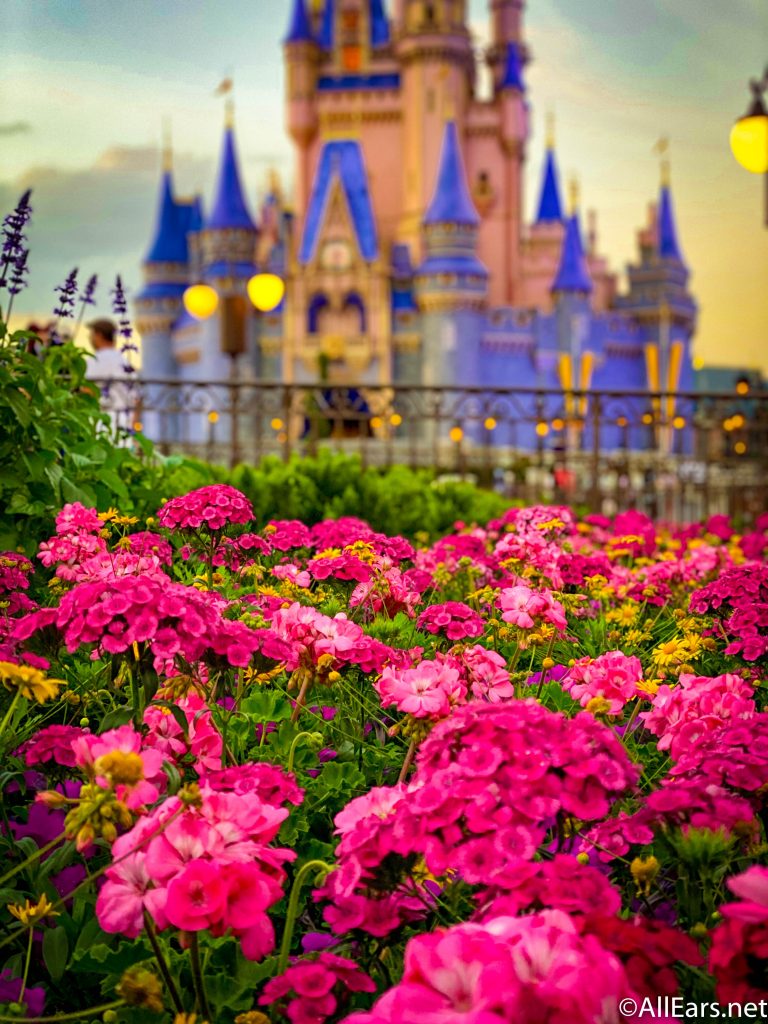 Cinderella S Castle From Magic Kingdom Is In Shade Background Picture Of  The Castle At Walt Disney World Background Image And Wallpaper for Free  Download