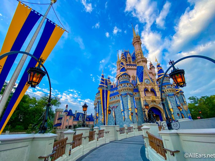 Comparing Disney World to Other US Theme Parks: Cost, Reviews, Photos