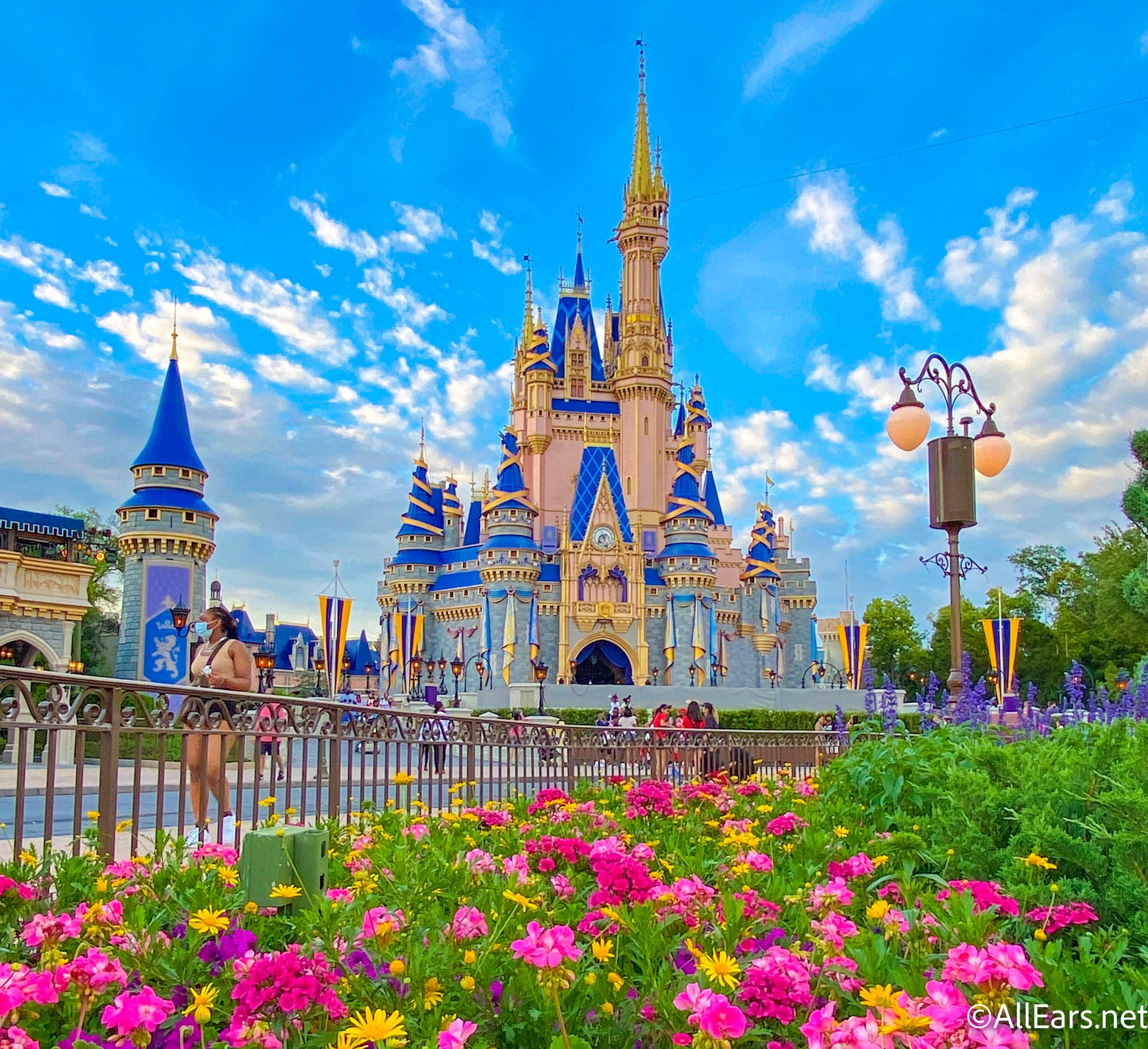 15 Stunning Disney World Wallpapers to Bring the Magic to Your Phone -  