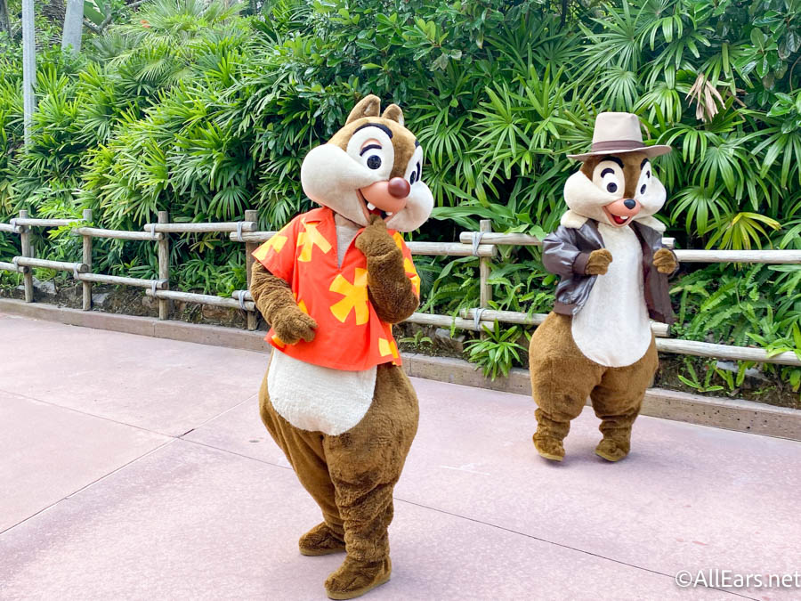 2021 WDW Hollywood Studios Chip and Dale Rescue Ranger Costumes -  AllEars.Net