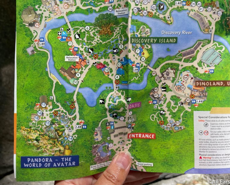 A MAJOR Attraction Returns to the Newest Disney's Animal Kingdom Park
