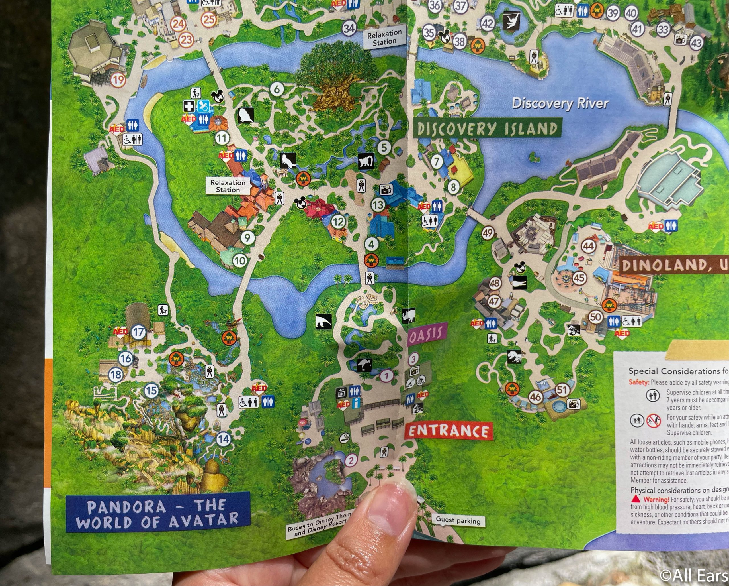 animal kingdom tour plan