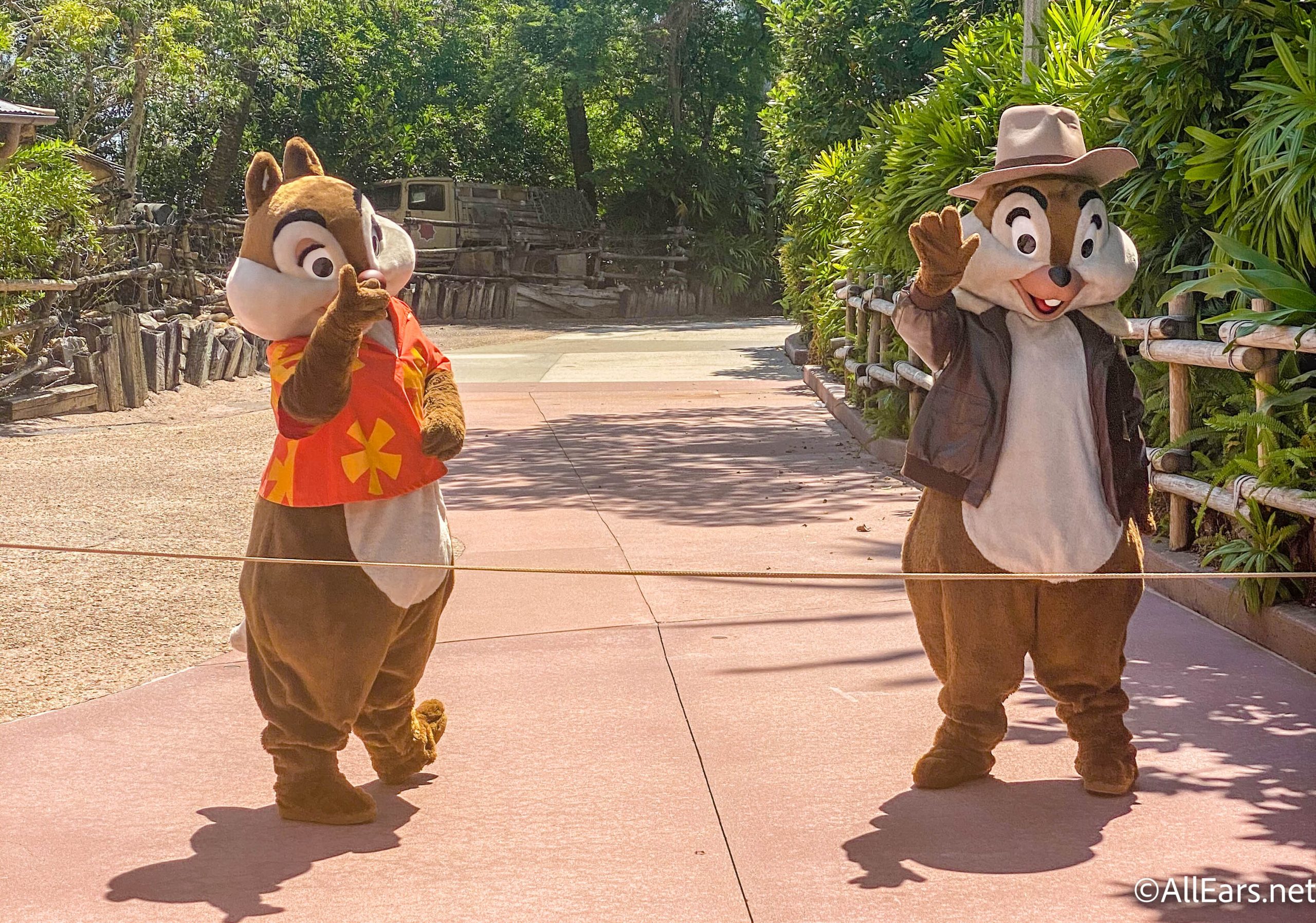 PHOTOS: Chip and Dale Were Wearing NEW Costumes in Disney World Today! -  AllEars.Net