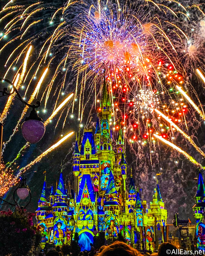 magic kingdom fireworks cruise review