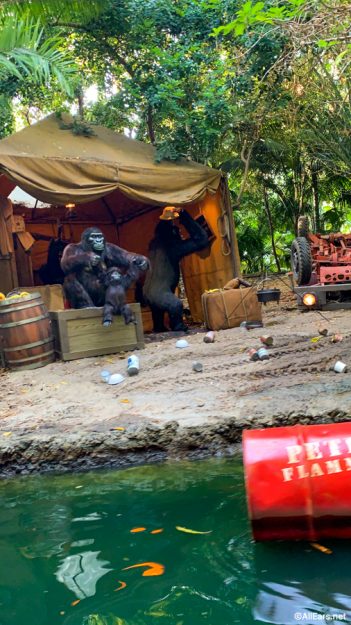 youtube jungle cruise disneyland