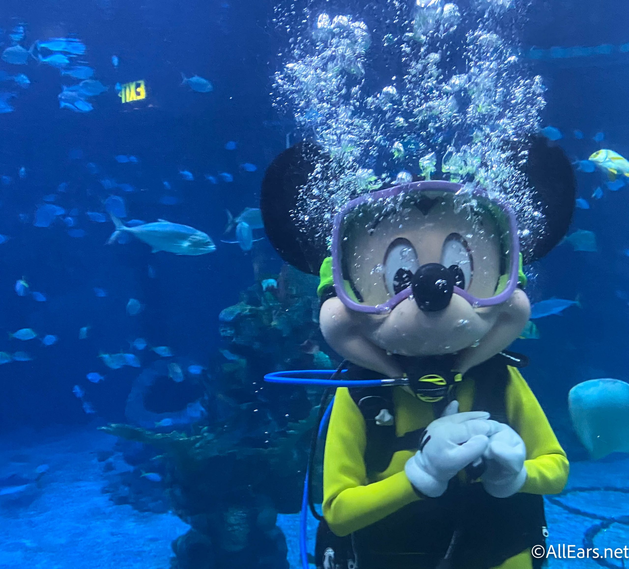 6 Weird But Kinda Cool Things You Can Do in Disney World