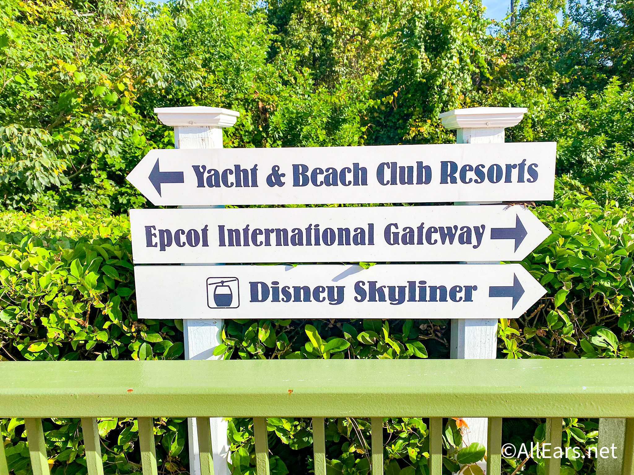 beach club disney tour