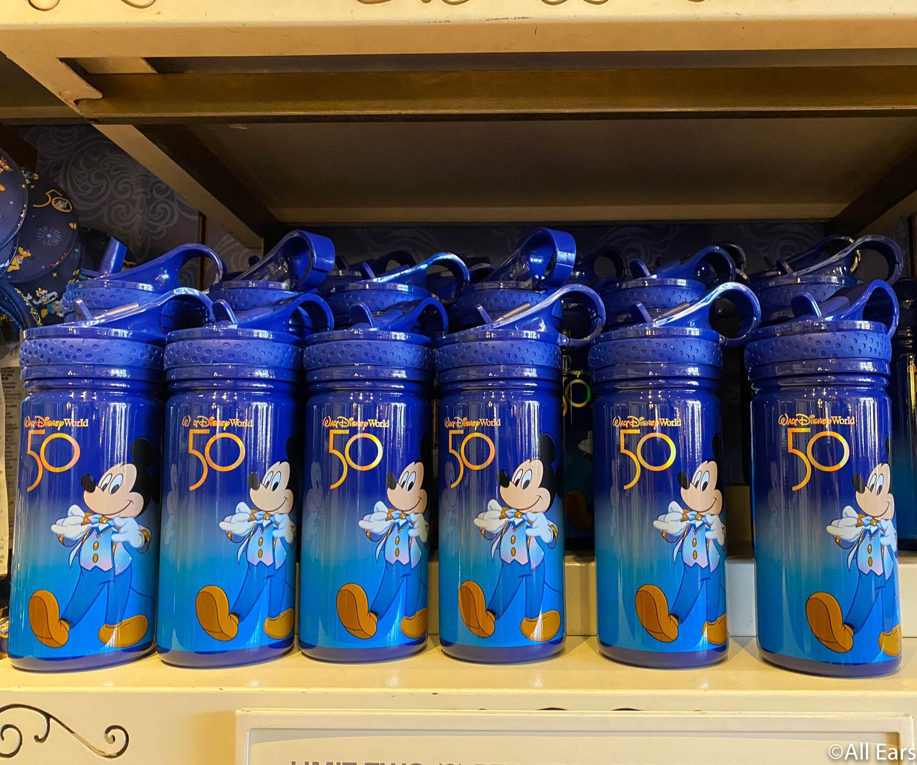 Walt Disney World 50th Anniversary Water Bottle | shopDisney