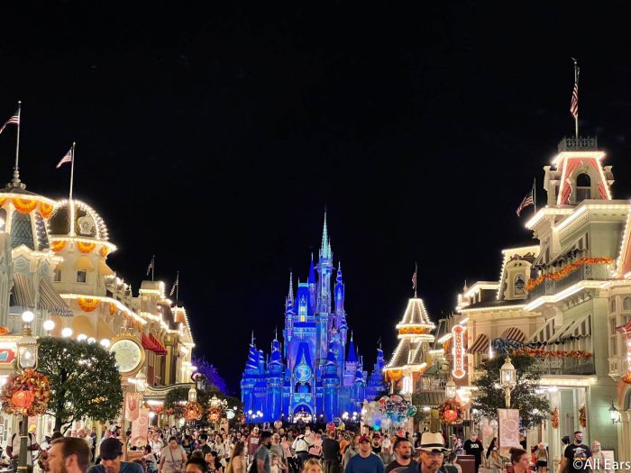 magic kingdom fireworks cruise review