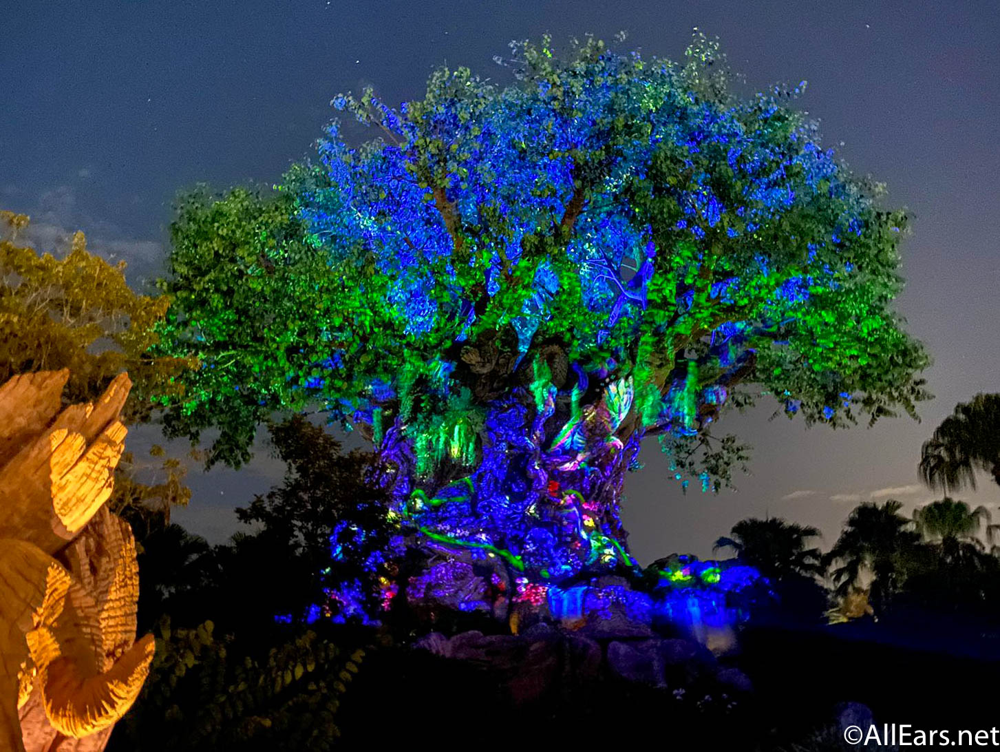 2021 wdw walt disney world disney's animal kingdom tree of life beacon of  magic 50th anniversary-15 