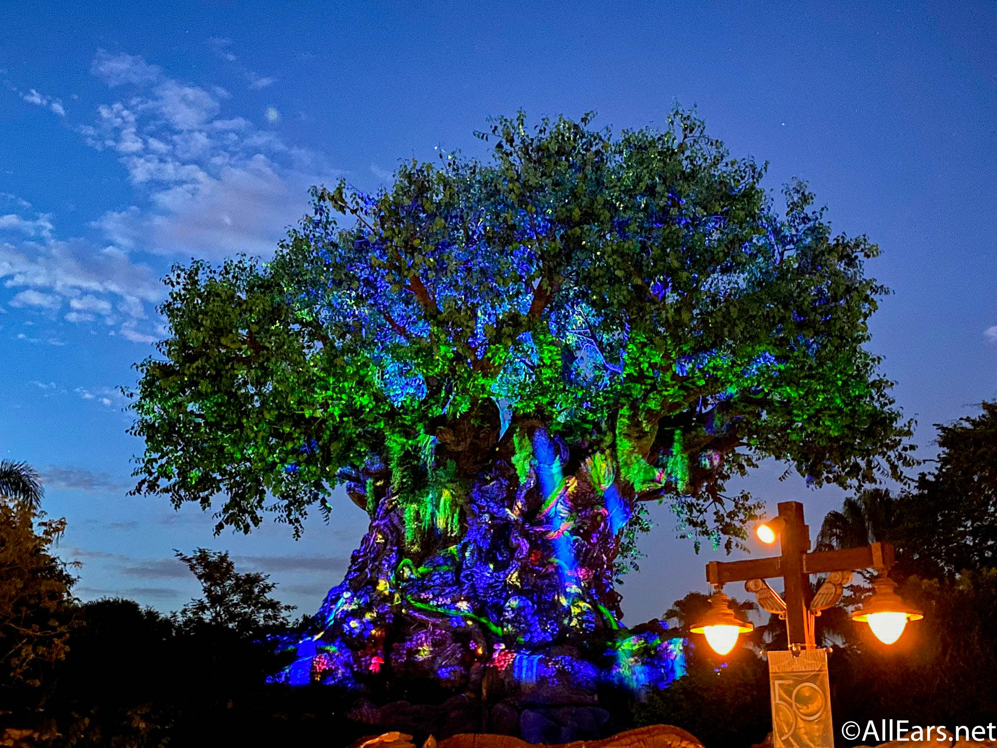 PHOTOS & VIDEO: Why You'll Want to Visit Disney's Animal Kingdom at NIGHT -  