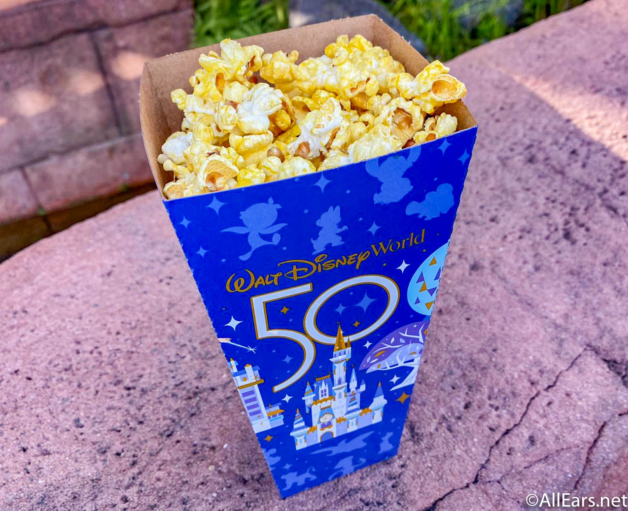 Foodie Friday: A Celebration of Walt Disney World Popcorn
