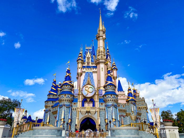 You'll Never Believe What Will Cost You $600 at the Disney Parks