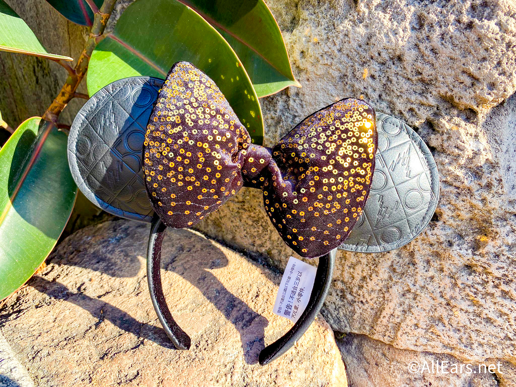 The 50th Anniversary Ears That WON'T Cost You Hundreds of Dollars