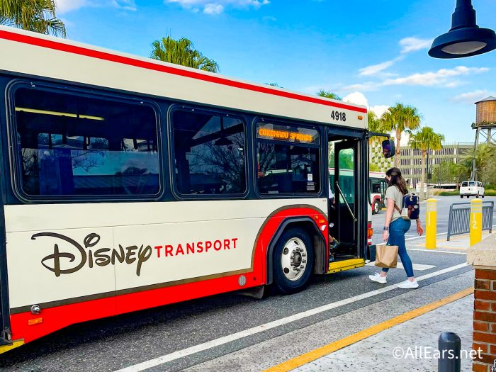 Walt Disney World Bus Transportation: Everything You Need To Know