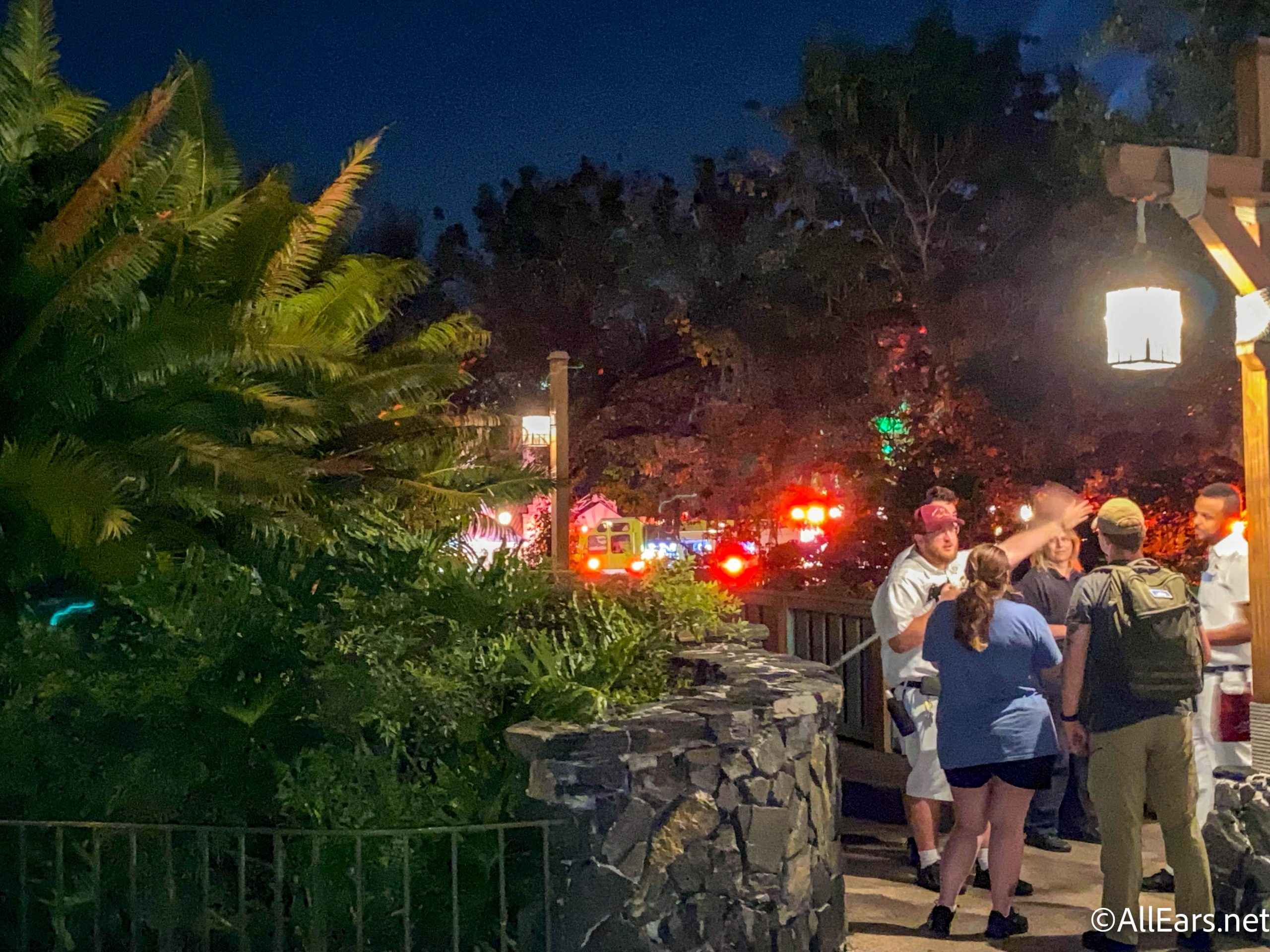 Guests Look on as Flames Shoot From Disney Castle