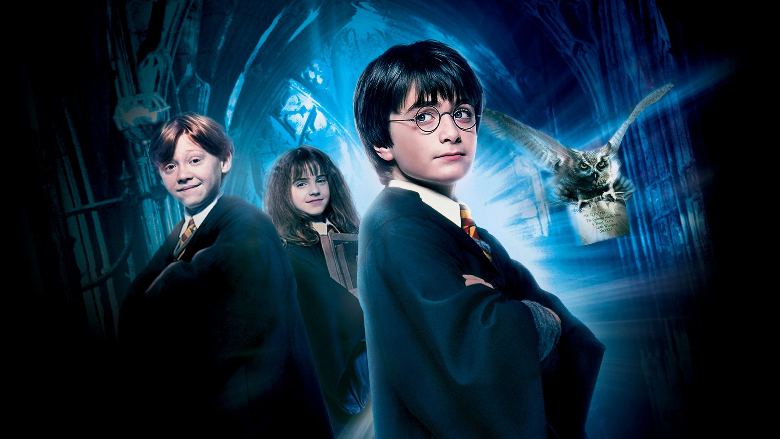 Harry Potter: Warner Bros. Teases Exciting Future of Franchise