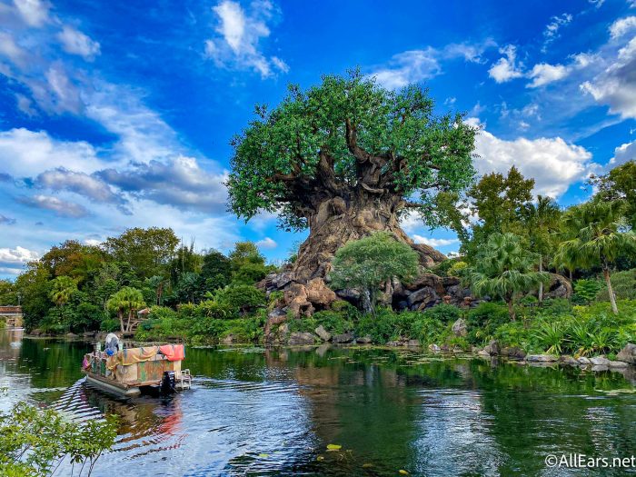 AllEars TV: The Perfect Day in Disney's Animal Kingdom AllEars TV: The Perfect Day in Disney's Animal Kingdom