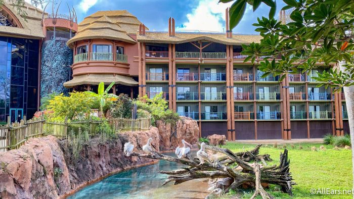 yacht club vs animal kingdom lodge