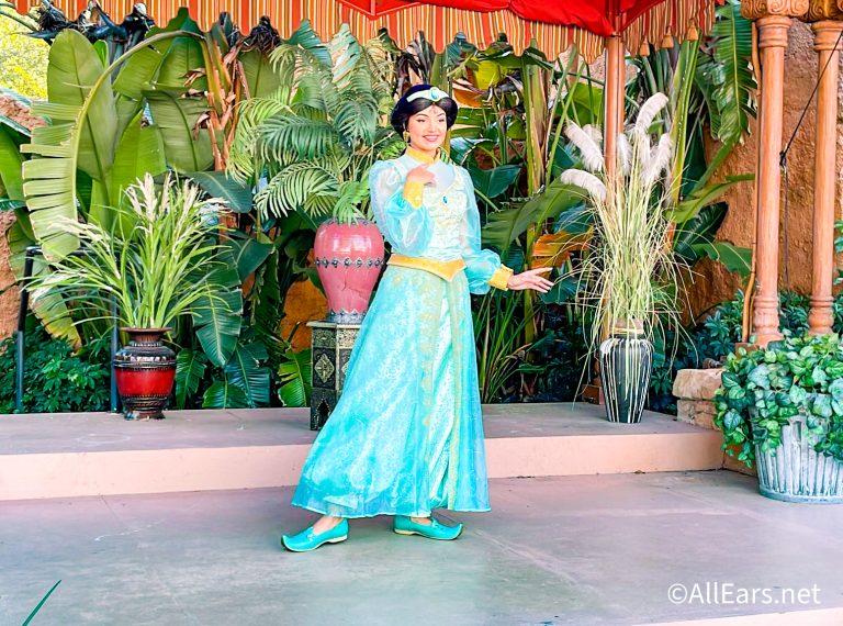 FULL LIST of Where To Meet Princesses in Disney World - AllEars.Net